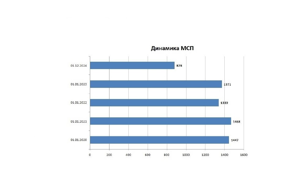 Информация о деятельности субъектов малого и среднего предпринимательства по состоянию на 01.12.2024.