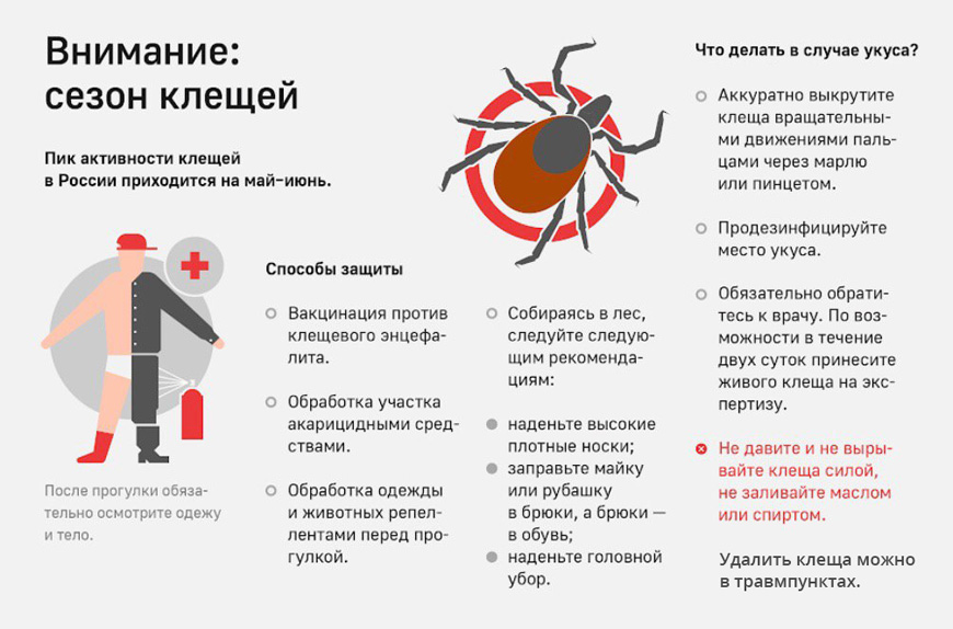 &quot;Горячая линия&quot; по вопросам профилактики клещевого энцефалита.